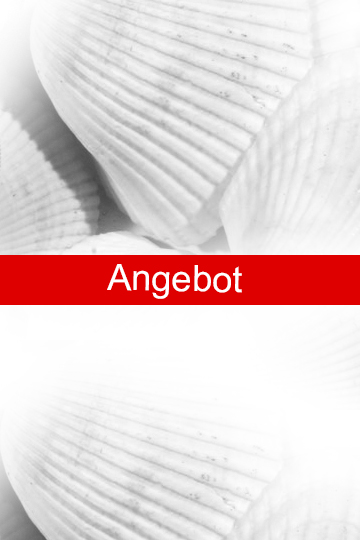 Angebote