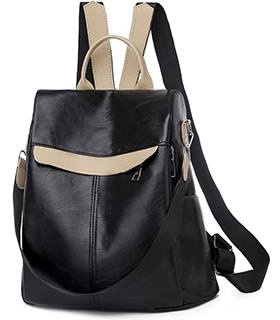 Day backpack, handbag