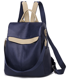 Day backpack, handbag