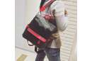 Day backpack, handbag